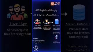 API Explained in the Easiest Way Ever | What is an API? #codeintips #programminghumor #coding