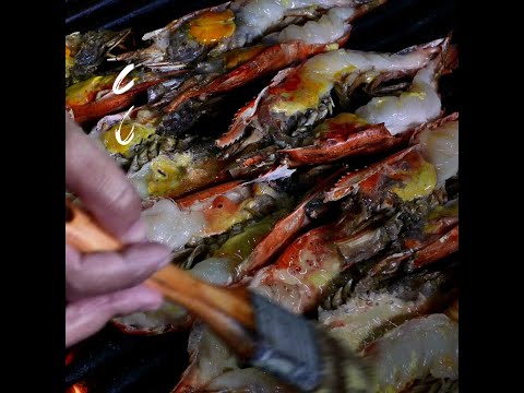 Gas Lighting like Capetonians prawn gas stove cooking