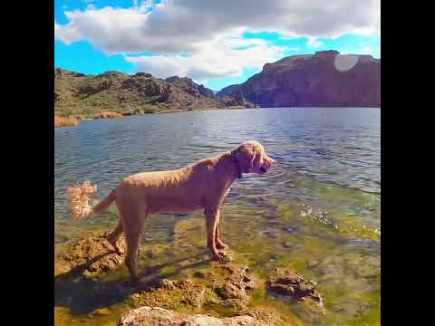 Best Lake Views in AZ-Butcher Jones Trail-Part 2         #hiking #arizona #views
