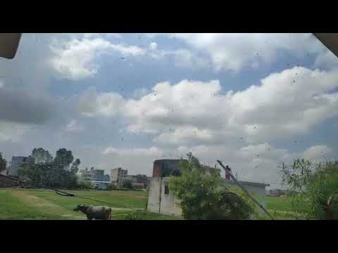 Loctus attacked on nepal #locust