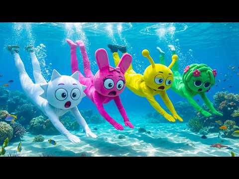 Pinki & Friend’s Dream Beach Holiday Turns Into Comedy Gold