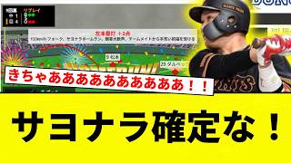 【さよならうおおおお！！】サヨナラ確定な！【プロ野球反応集】