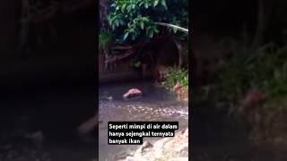 Mancing jaring di air dangkal gak sangka ada banyak ikan || #short #fishing #experiment