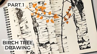 Birch Tree Pen & Ink Drawing: From Sketch to Masterpiece (Part 1)