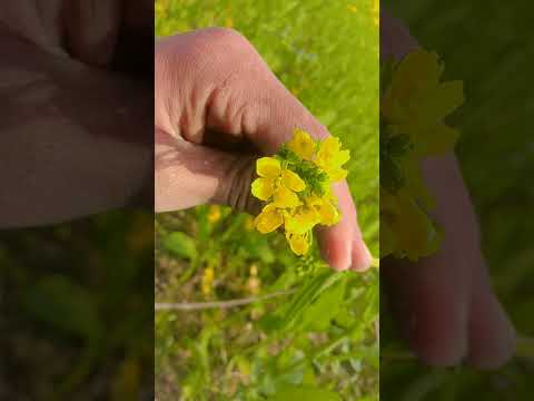 हैलो दोस्त 💙