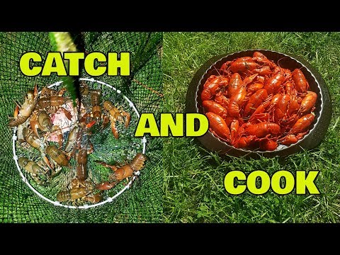 CATCH AND COOK CRAYFISH