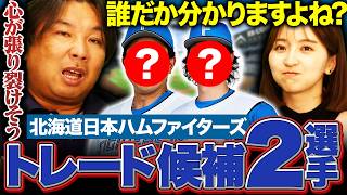 【日本ハムトレード候補】『もう強制トレードです‼︎』結果出しても使われない⁉︎里崎が日本ハムで推したい選手とは⁉︎