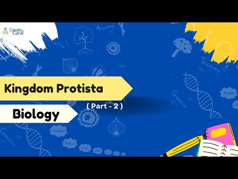 Kingdom Protista (Biology) Part 2 - IGCSE | CBSE I ICSE I IB I AP I IIT-JEE  I NEET I Edexcel