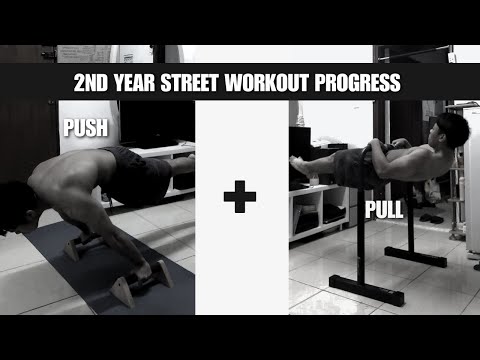 2nd Year Planche and Front Lever Progress