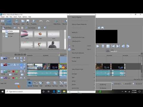 [FIX] Sony Vegas Renders Export Audio Only With No Video Template Options