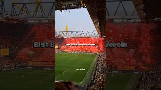 Borussia Dortmund! Wir tun das alles nur für dich! Fangesang Edit mit Text! ⚫🟡 #borussiadortmund