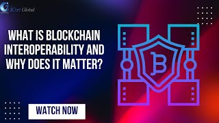 What is Blockchain Interoperability and Why Does It Matter? | iCert Global