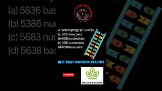 molecular basis of inheritance|Bacteriophage|neet daily practice questions