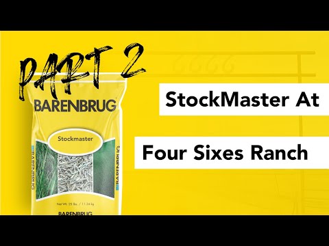 StockMaster at Four Sixes: pt. 2