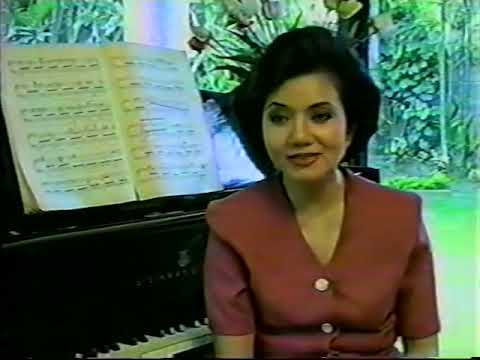 VLV Business & Leisure Segment 1996