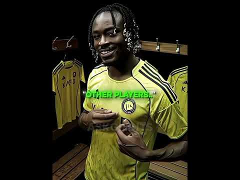 #whitelabrodorsnowhi