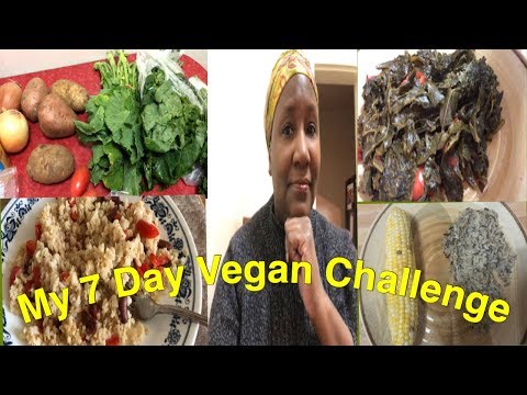 7 Day vegan challenge #vegan#veganchallenge#sevendayveganchallenge