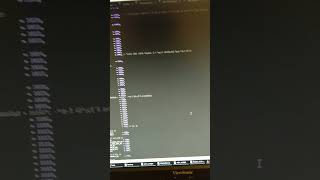 Old MMO codebase stores item data in binary! 🤤