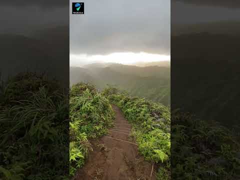 Is this the most dangerous hike on Oahu? #hawaii #travel #beautiful