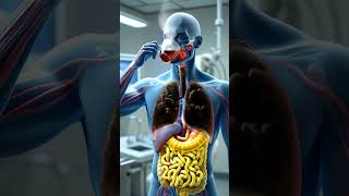 What Happens When You Drink Tea on an Empty Stomach vs After a Meal? | 3D Digestive Animation
