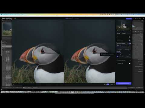 Topaz Photo AI Aug 2023 update