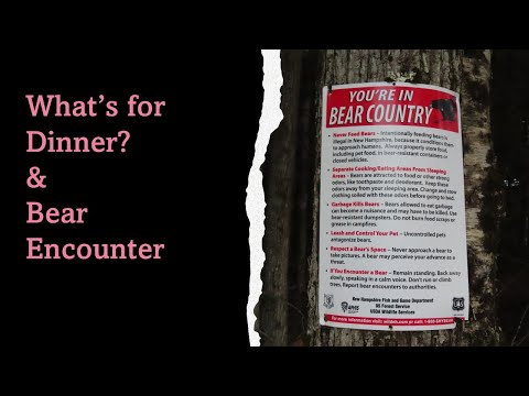 What's For Dinner? / Bear Encounter /Car Camping 5/28/22