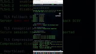 Válida vulnerabilidades en el certificado ssl con sslcan #ciberseguridad #tecnologia #ciencia