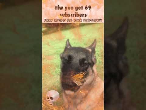 69 sub special #funny #subspecial