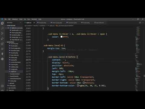23. Styling and debug menu and Sub wordpress | Complete WordPress Theme & Plugin Development | 2023