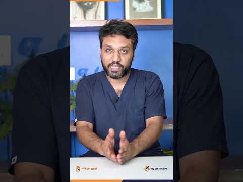 Dr. Asfand's Guide to Neutering and Spaying: Timing Is Key! 🐶🐱