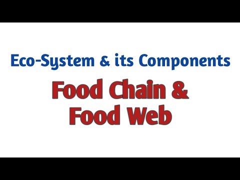 Eco -System and its components.
