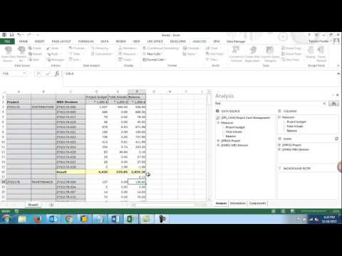 SAP BusinessObjects Analysis Office 2.2 - New Excel Formula Features