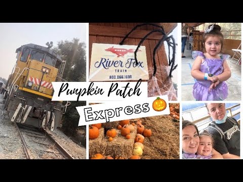Pumpkin Patch Express | Sacramento River Fox Train | October 2020