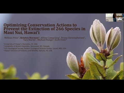 Optimizing Conservation Actions to Prevent Extinction of 266 Species in Maui Nui, Hawaii