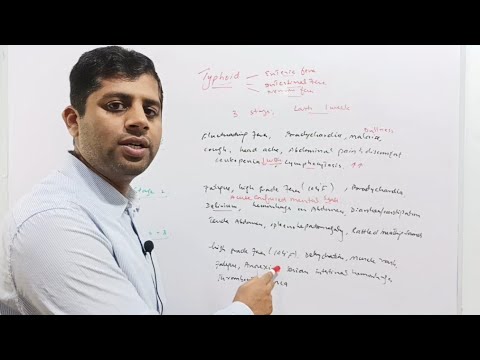 Typhoid | Causes | Transmission | Clinical Signs | Treatment | Vaccines | Salmonella