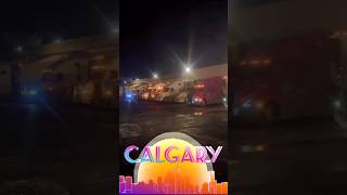 #swiftdriving #automobile #snow #swiftdrive #car #trending #driver #newmarutiswift #newcar #love