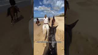 #horse #hackingout #beachride