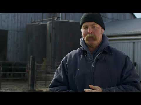 Beef Farmers of Ontario | Grow Ontario Together | Ontario Ministry of Agriculture, Food and Rural Af