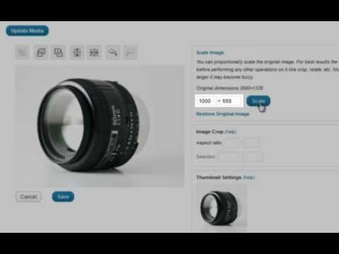 How to use the Image Editor to crop and scale images