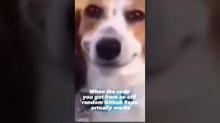 Random Code Magic #programmingmemes  #programminglife  #developerlife