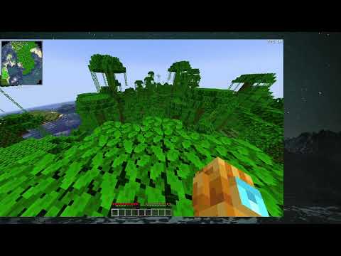 BEATING THE ENDERDRAGON!! ft/Susrays