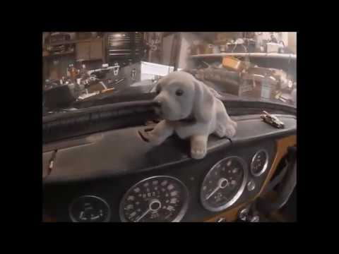 Bobble head dog on Triumph Dashboard (silly 36 seconds)
