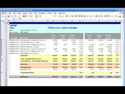 SAP Business One - Financials and Accounting.wmv