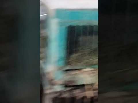 zoo animal video | animal in zoo