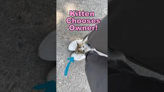 Accidentally Adopting A Kitten!!