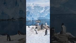 13 INSANE TRAVEL FACTS YOU NEVER KNEW