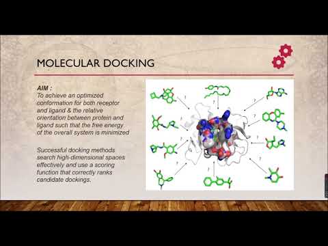 Molecular Docking - Introduction - Protein-Ligand Interactions