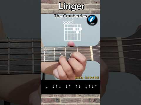 Linger Guitar Tutorial #guitarlesson #guitartutorial