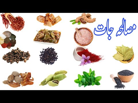 Spices Name in Urdu and English | Every Kitchen Need Spice | Fresh and Dry Spice | GK with Ali
