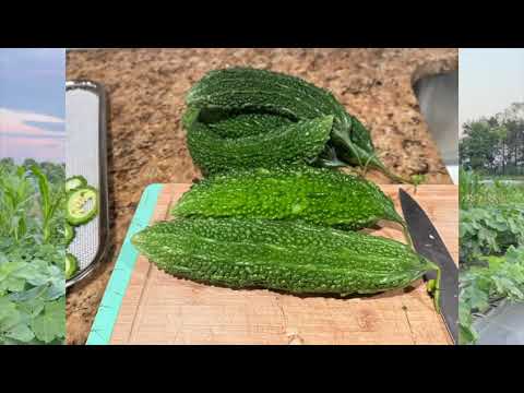 Introducing Asawana Farms @ambafarmersvoice
